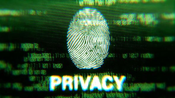 Browser plug fingerprint privacy firewall настройка